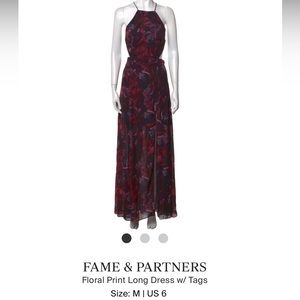 Fame & Partners Dress